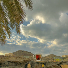 أسامة الواعظ