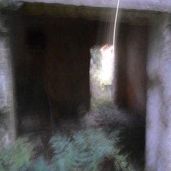 Untitled #1