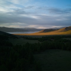 PFR24179 - Oriental Cuckoo, M F song, excitement calls - Mongolia