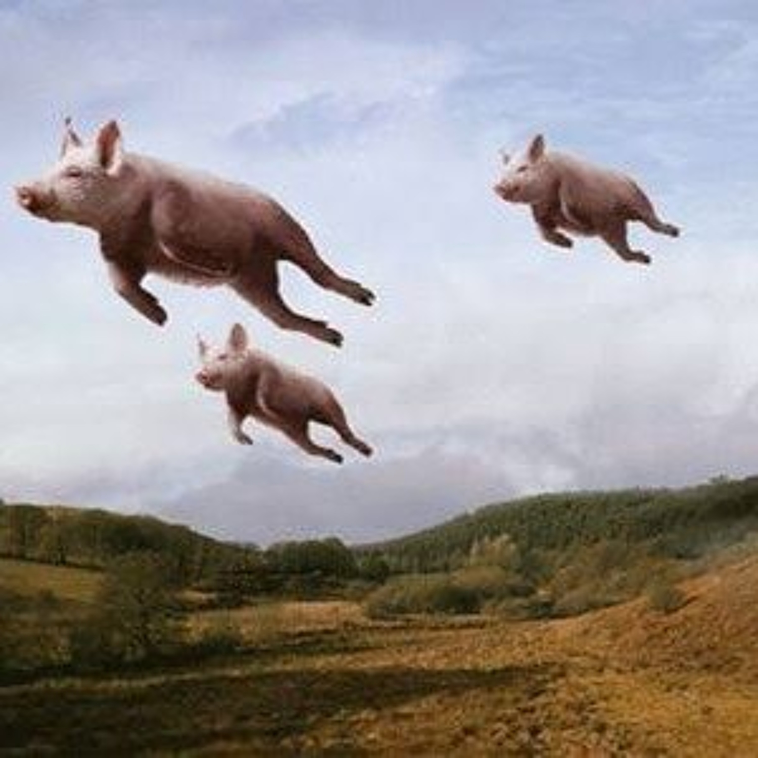 flying summerpigs episode artwork
