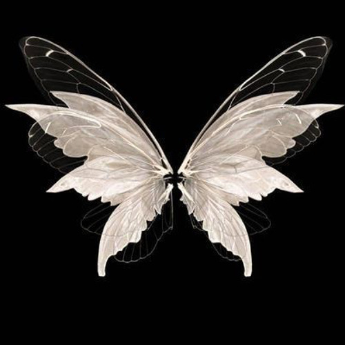 Y에게, 우리의 세계는 멀리서 보면 영화처럼 보이면 좋겠어