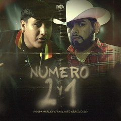 Numero 2 Y 1