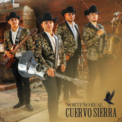 Cuervo Sierra