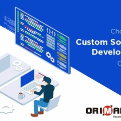 Custom Software Development Company In India