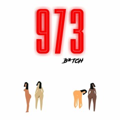 973 B*tch(NJ Stripper Anthem Mix)