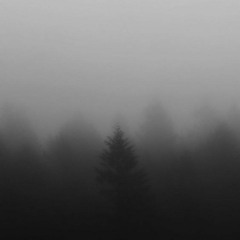 WL//WH - MARCH 2024 \\ Post-Punk/ Coldwave/ Darkwave/ SynthPop/ Minimal Synth