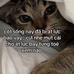 MƯA RƠI VÀO PHÒNG ( STYLE HUY PT )