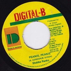 Peanie Peanie Ridddim Mix (80s-2002) Shabba,Admiral,Cocoa Tea,Spragga,Bounty,Terror,Buju,Stitchie &+