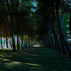 Sogni d'oro Remix - Lazza (prod. check beats)