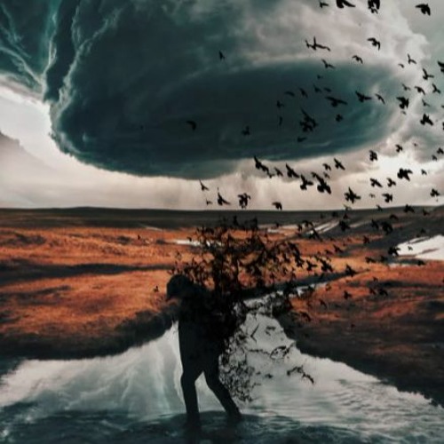 #Montre beautiful music for backgrounds (FREE DOWNLOAD)