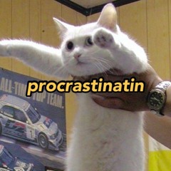 Procrastinatin