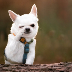 #only one(10k x Prod. Piracy)