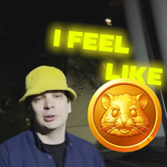 ifeellikehamstercombat