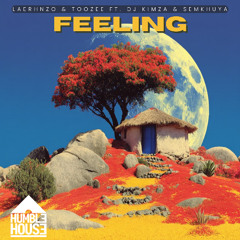 LaErhnzo & TooZee ft. DJ Kimza & Semkhuya - Feeling