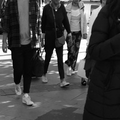 Sounds of the Elephant  now