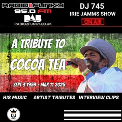 Cocoa Tea Tribute - 100% Cocoa Tea - Rare Interview