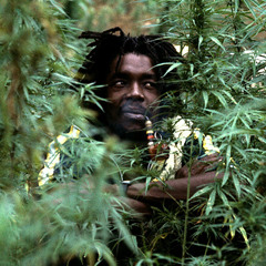 DINGDONG JUNGLEMAN rmx