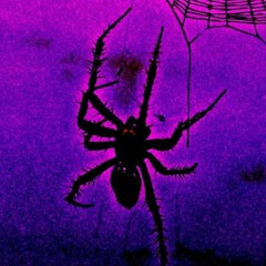 Arachnid (feat. Korhii) [Prod. Jinfinity]