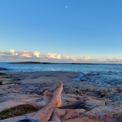 Oh Serenity (Blue Heron Nov 2020)