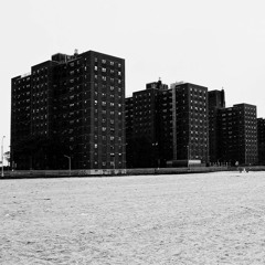 NM Reads: Reinaldo Laddaga's "A Coney Island of the Virus" (2020)