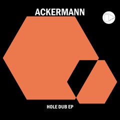 Ackermann - Hole Dub (Black Mirror Park 909 Workout Remix)