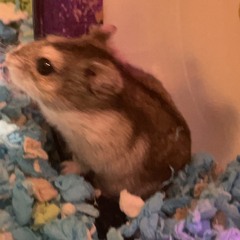 taking notes on an iphone v1