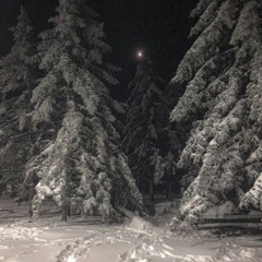 Избегающая#тревога (laglacewhytie)