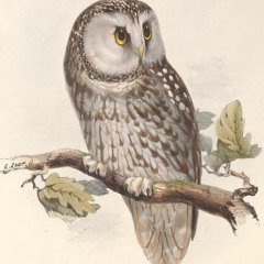 HK_Fantaisies_Sets/Mixes/Live_18