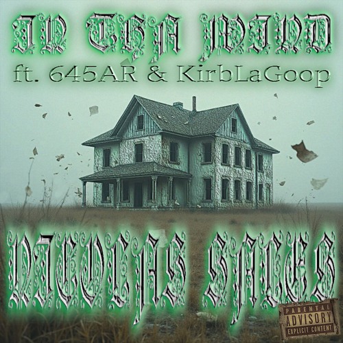 IN THA WIND [ft. 645ar & KirbLaGoop] (fonywallace)