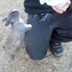 رغم كل الشفته منك