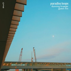 Paradise Loops 038 w/ Dunning Krueger