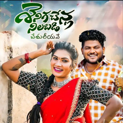 SENIGA SENLA NILABADI SETHULIYAVE - REMIX - DJ SRIKANTH BLNR