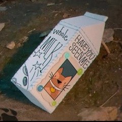 MILK CARTON - Madilyn May (INSTRUMENTAL)