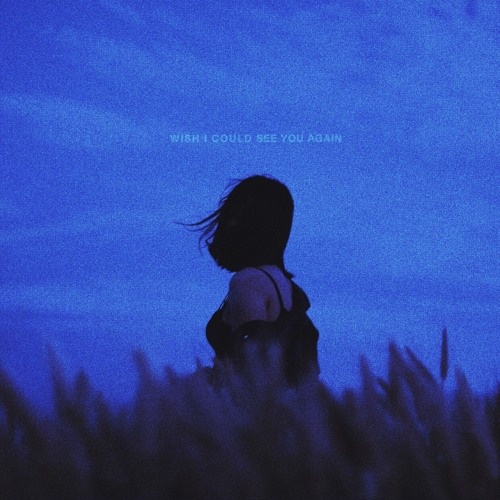 wish i could see you again w/LEVI