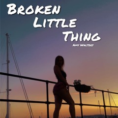 Broken Little Thing