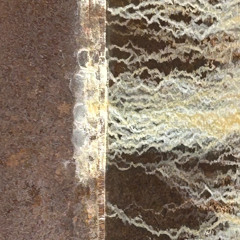 CBD Rust Flower
