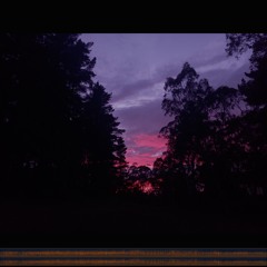 2025.11.02 A Dawn between Two Forests. Spring.