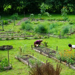 Des Gens de Valeurs - La Table De Gaya