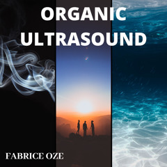 Organic UltraSound