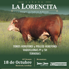 Adriana Bonomi - remate La Lorencita