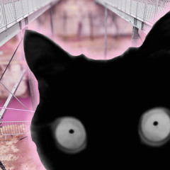 until u find me pretty