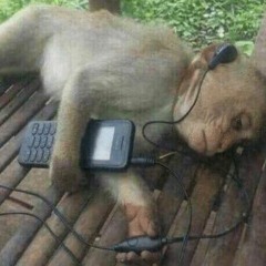Ez nem egy coronita mix