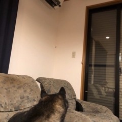 空疎に死す