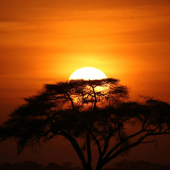 Kenya