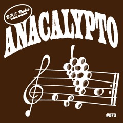 B.P.T. Radio 073: Anacalypto