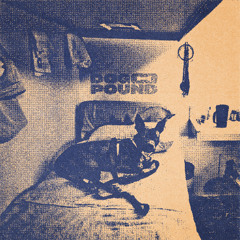 Dog on Acid - Gecko