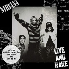 Nirvana - Where Did You Sleep Last Night? (Live in Zénith de Paris, 1994)