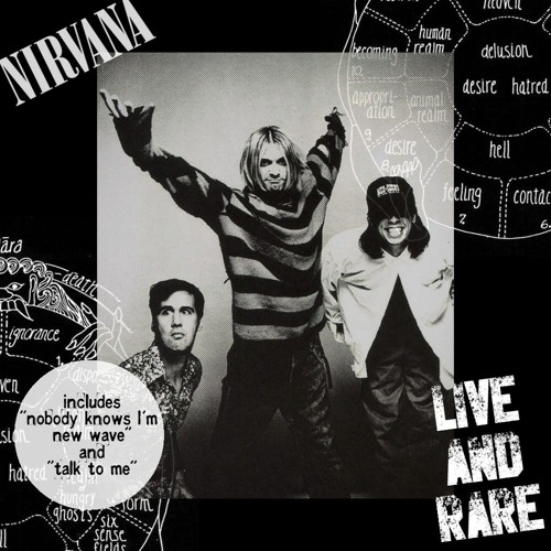 Nirvana - Where Did You Sleep Last Night? (Live in Zénith de Paris, 1994)