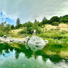 CALIFORNIA 1