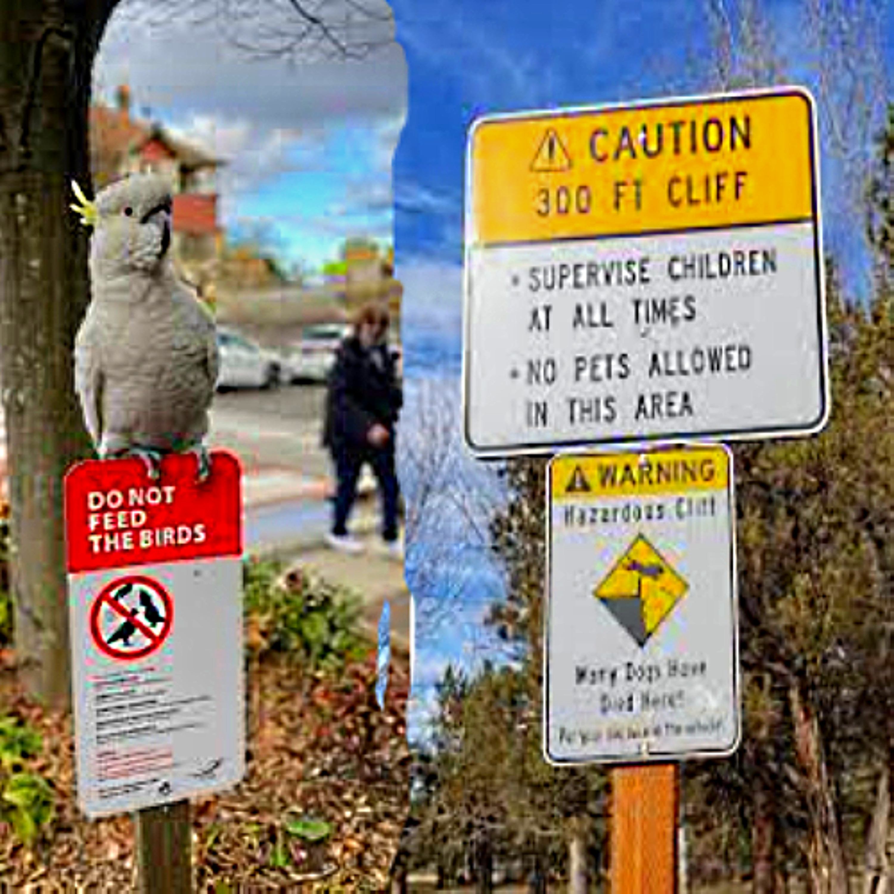 Do not feed the birds [disquiet0755] episode artwork